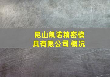 昆山凯诺精密模具有限公司 概况